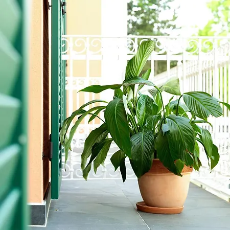 Kim Im Park Hotel 4*